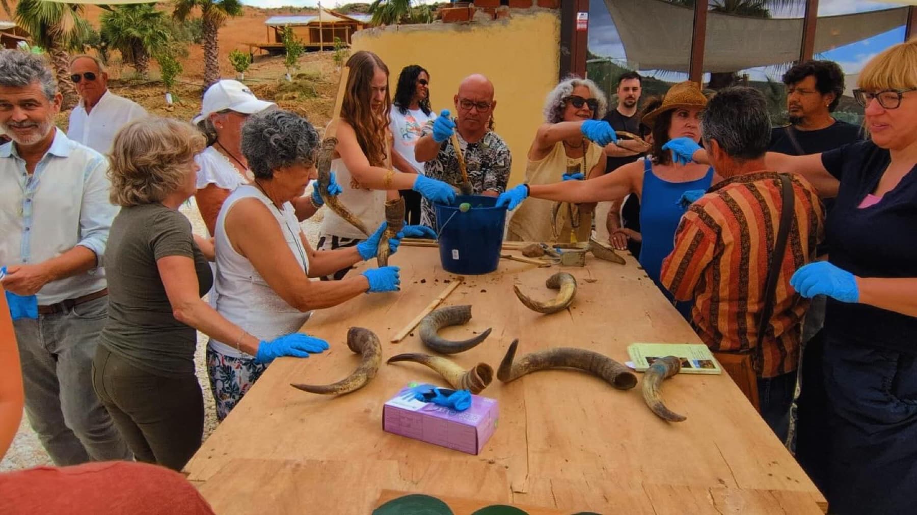 Grupo en la finca rellenando cuernos de vaca para el preparado biodinámico 500.