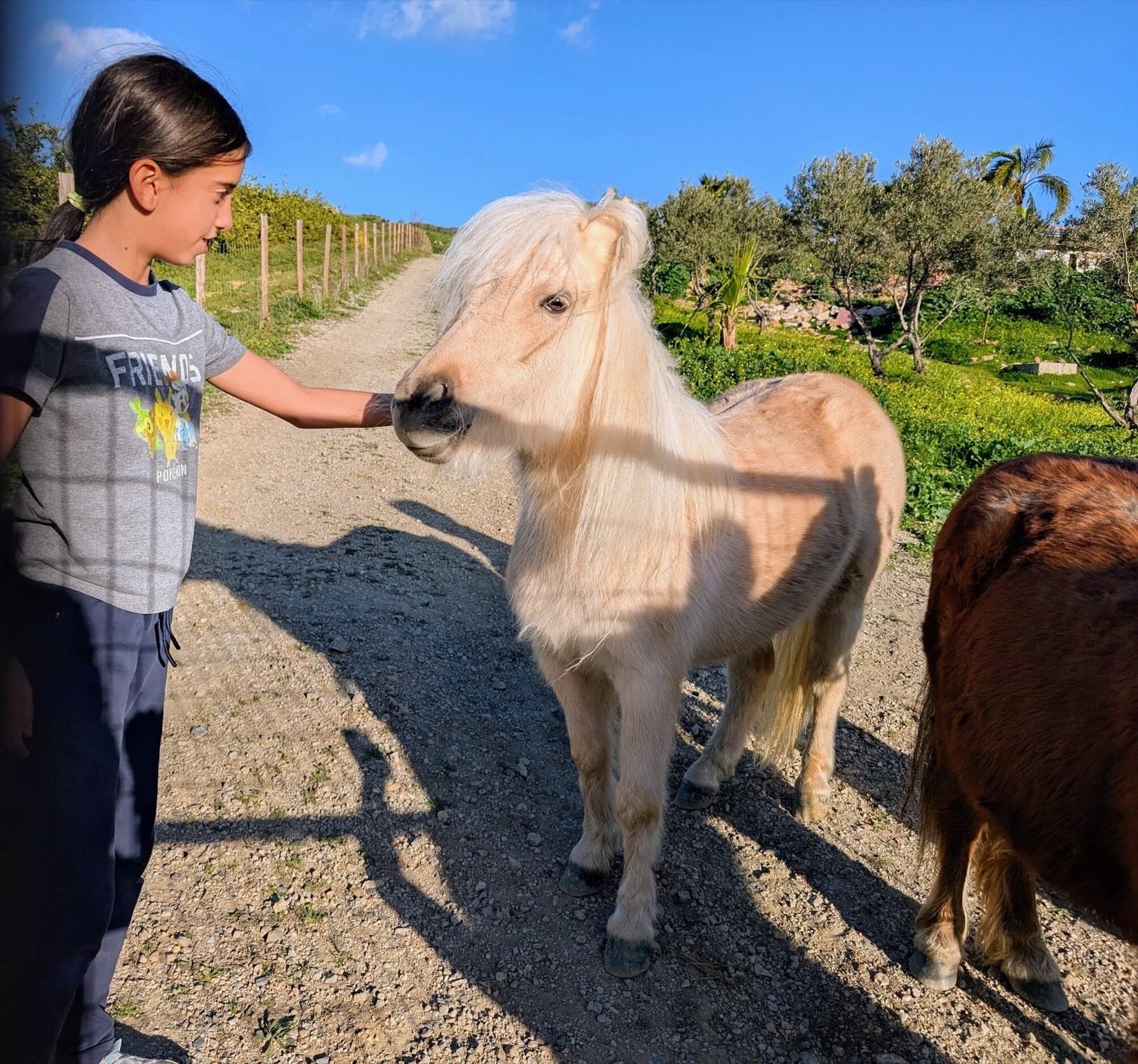 Una niña acaricia a un pony en un camino de la finca, con olivos y cielo despejado al fondo.